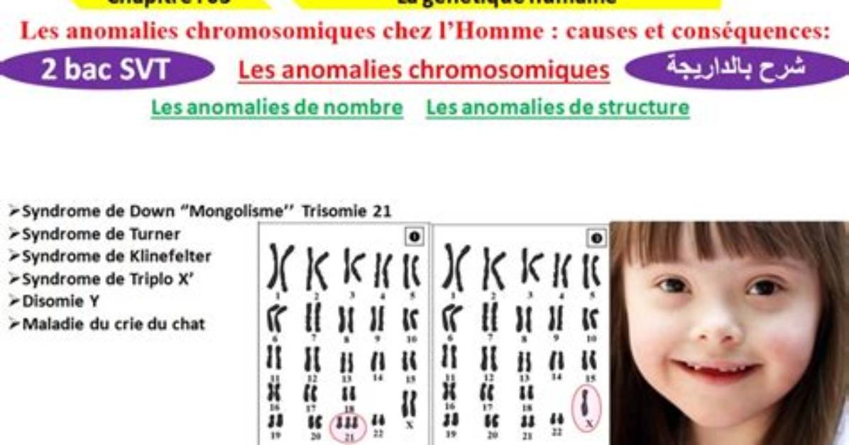 Les Anomalies De La
